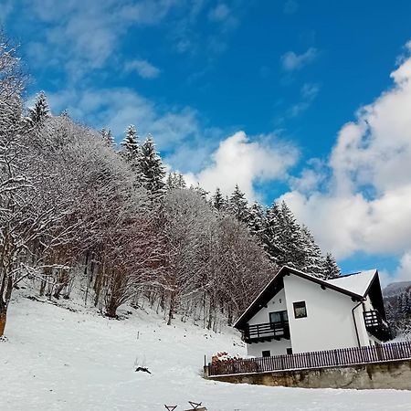 Casa Valea Prejbei Villa Rau Sadului Eksteriør bilde