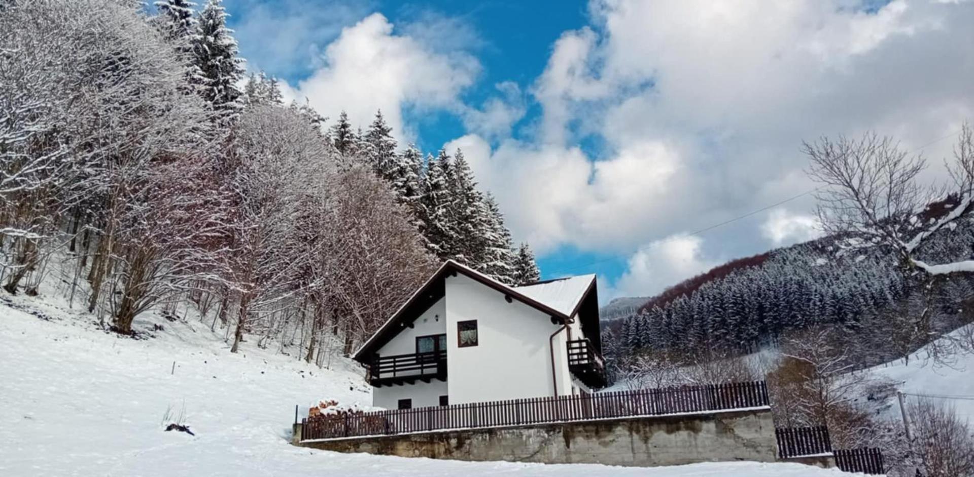 Casa Valea Prejbei Villa Rau Sadului Eksteriør bilde