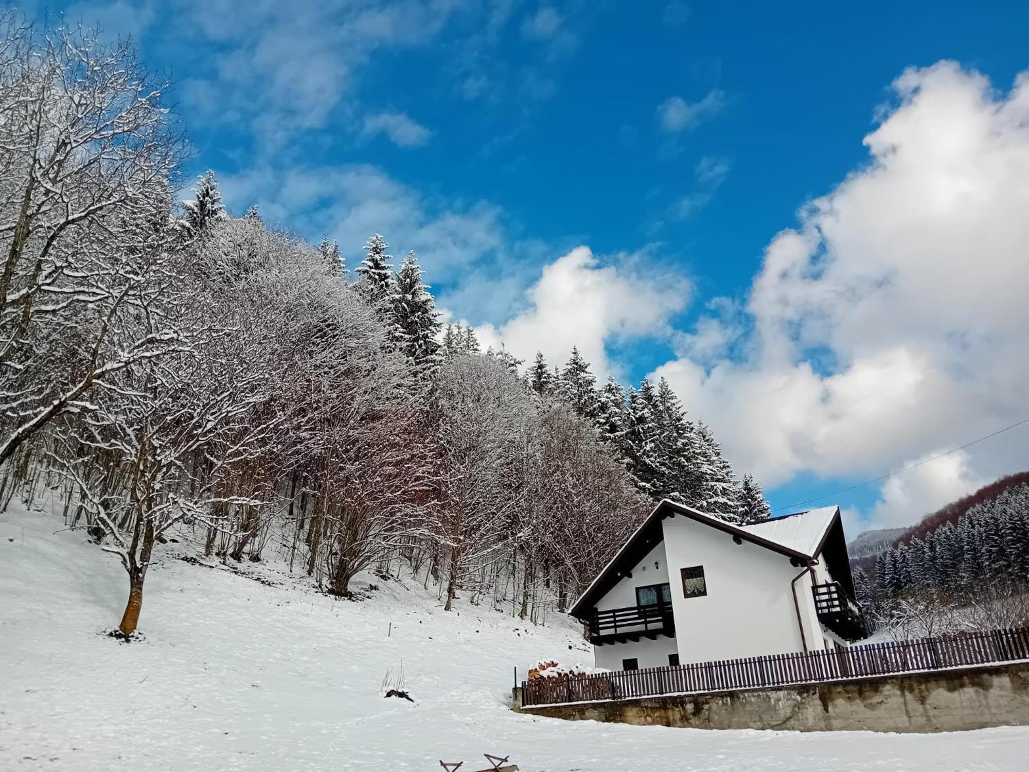 Casa Valea Prejbei Villa Rau Sadului Eksteriør bilde